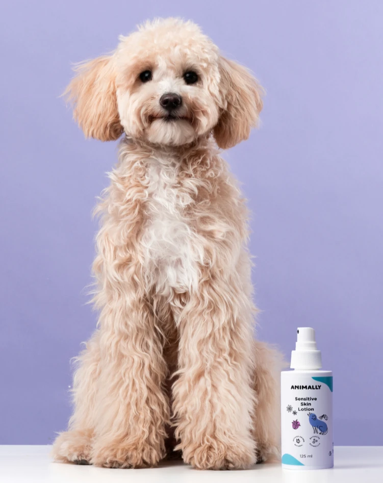 Sensitive skin lotion Perro con loción dermoprotectora