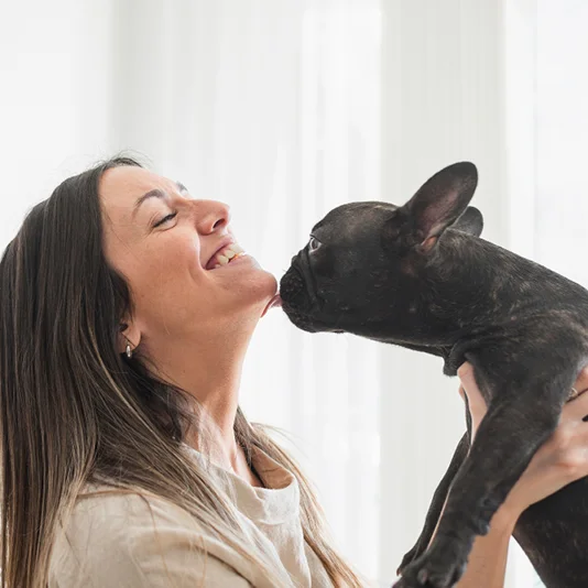 Omega 3 para perros Problemas de piel en perros y gatos