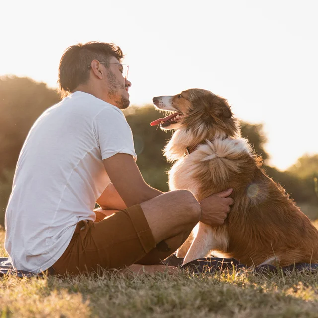 Probiotico para perros
