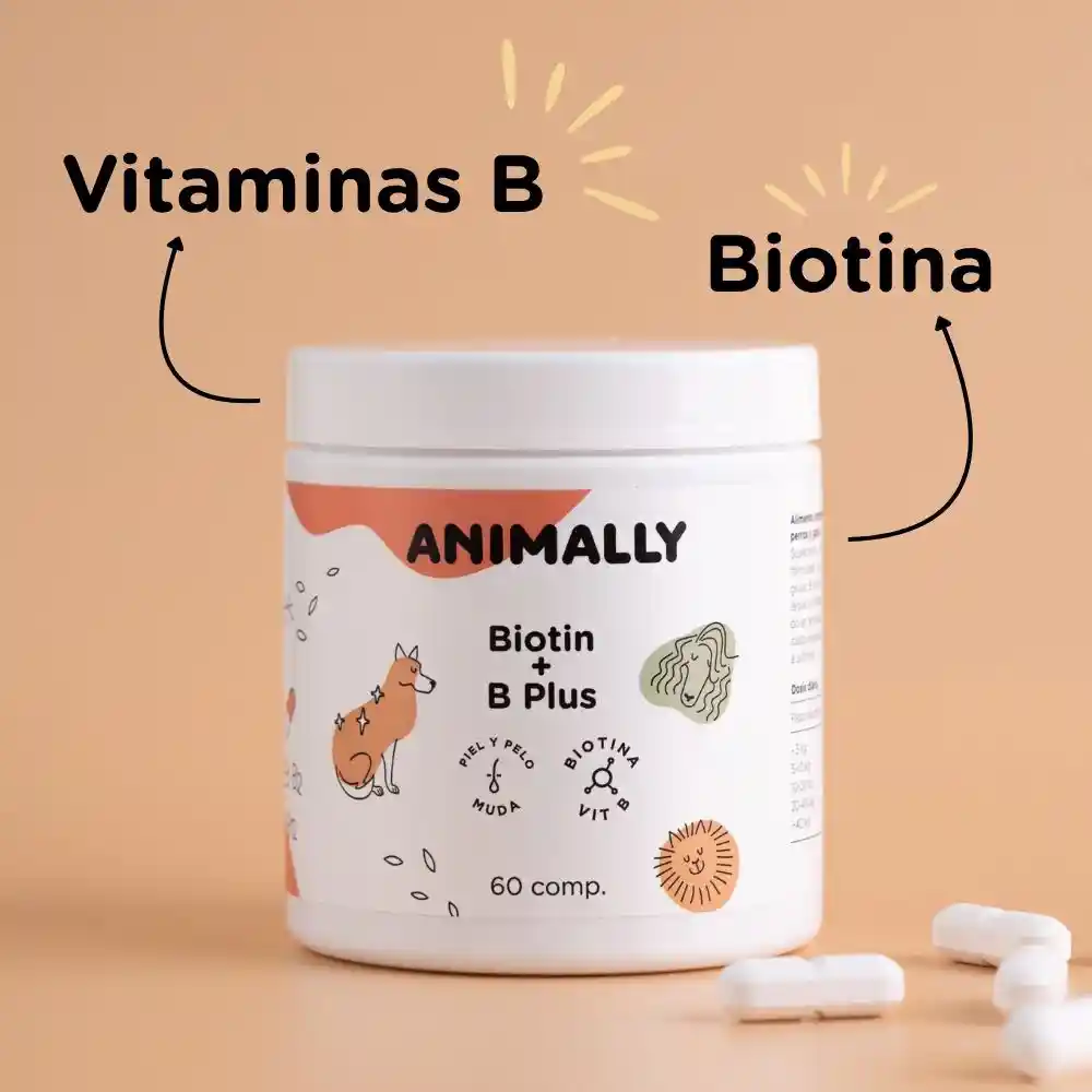 Biotina perros
