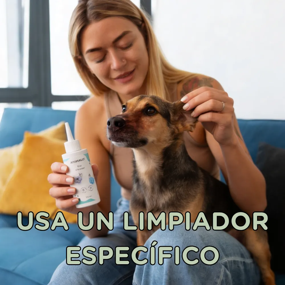 limpieza de oídos en perros_2 Spray relajante natural perros gatos