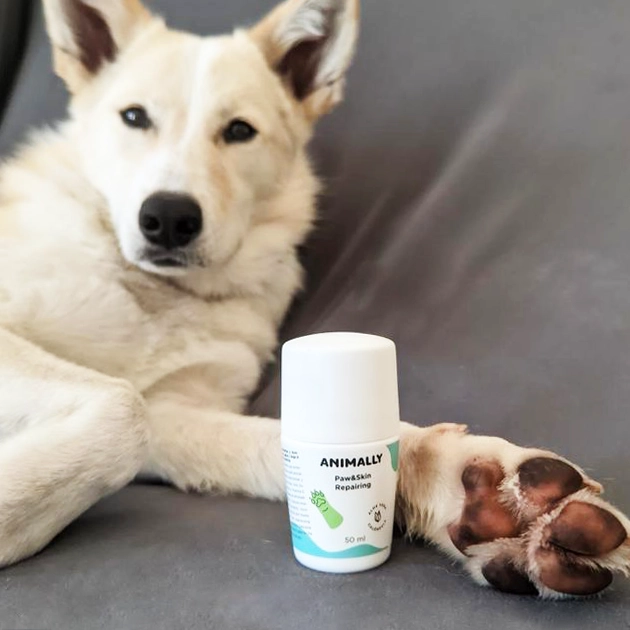 Quemadura almohadillas perros calor Spray relajante natural perros gatos