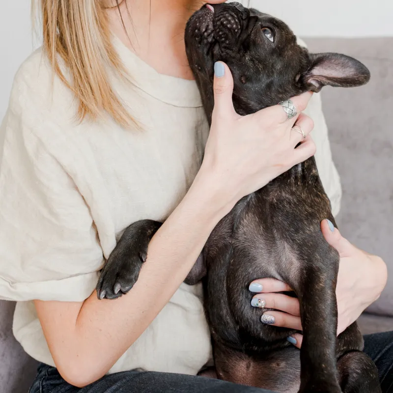Quemaduras almohadillas perros (2) Problemas de piel en perros y gatos