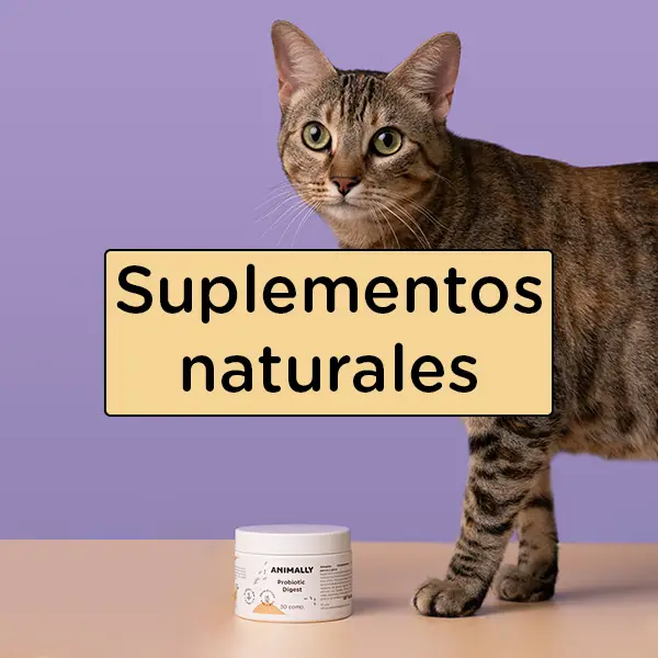 Suplementos naturales